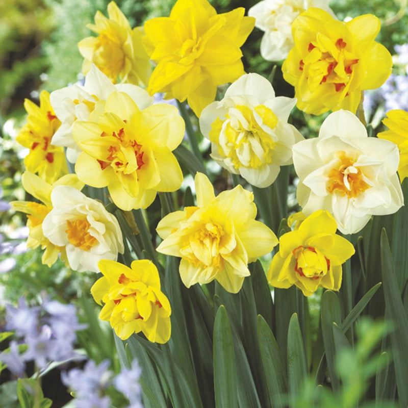 How to Refresh Your Garden for the New Season