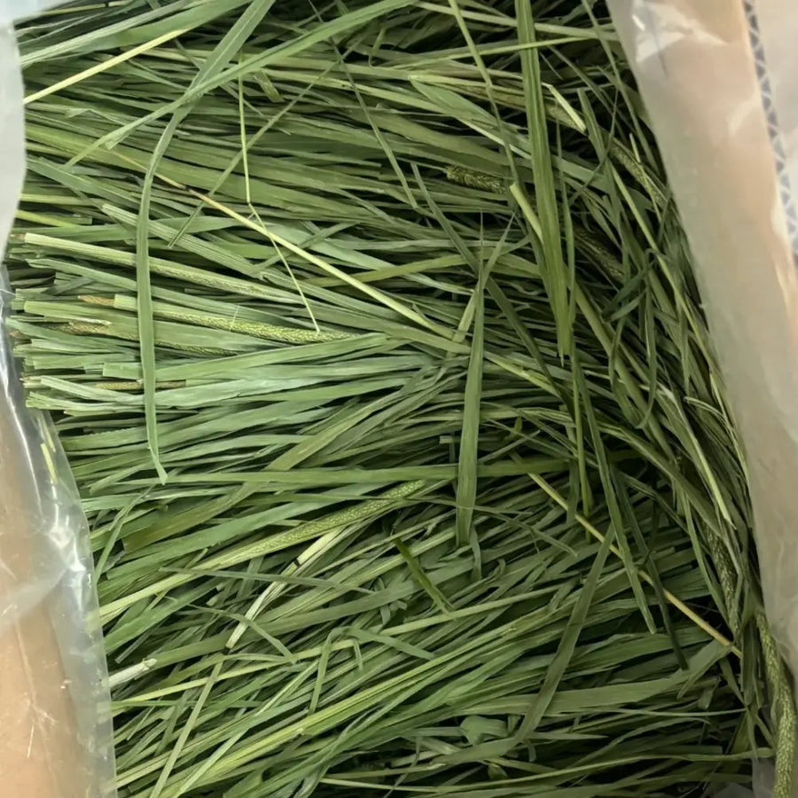 Timothy Grass Seeds product image