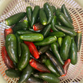Jalapeño Pepper Seeds product image