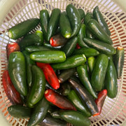 Jalapeño Pepper Seeds product image