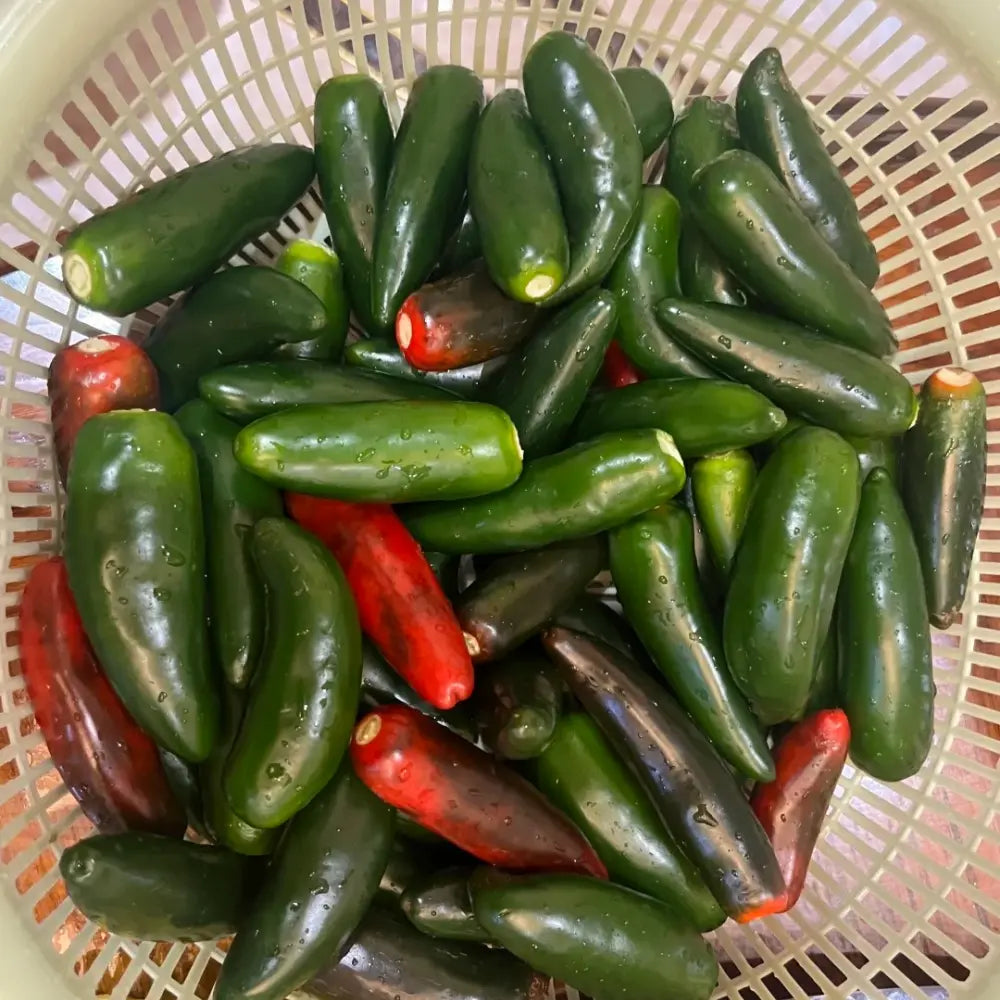 Jalapeño Pepper Seeds product image