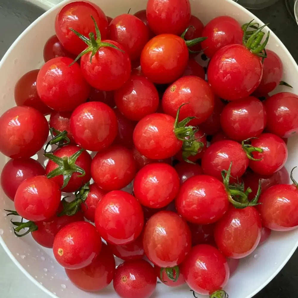 Cherry Tomato Seeds product image