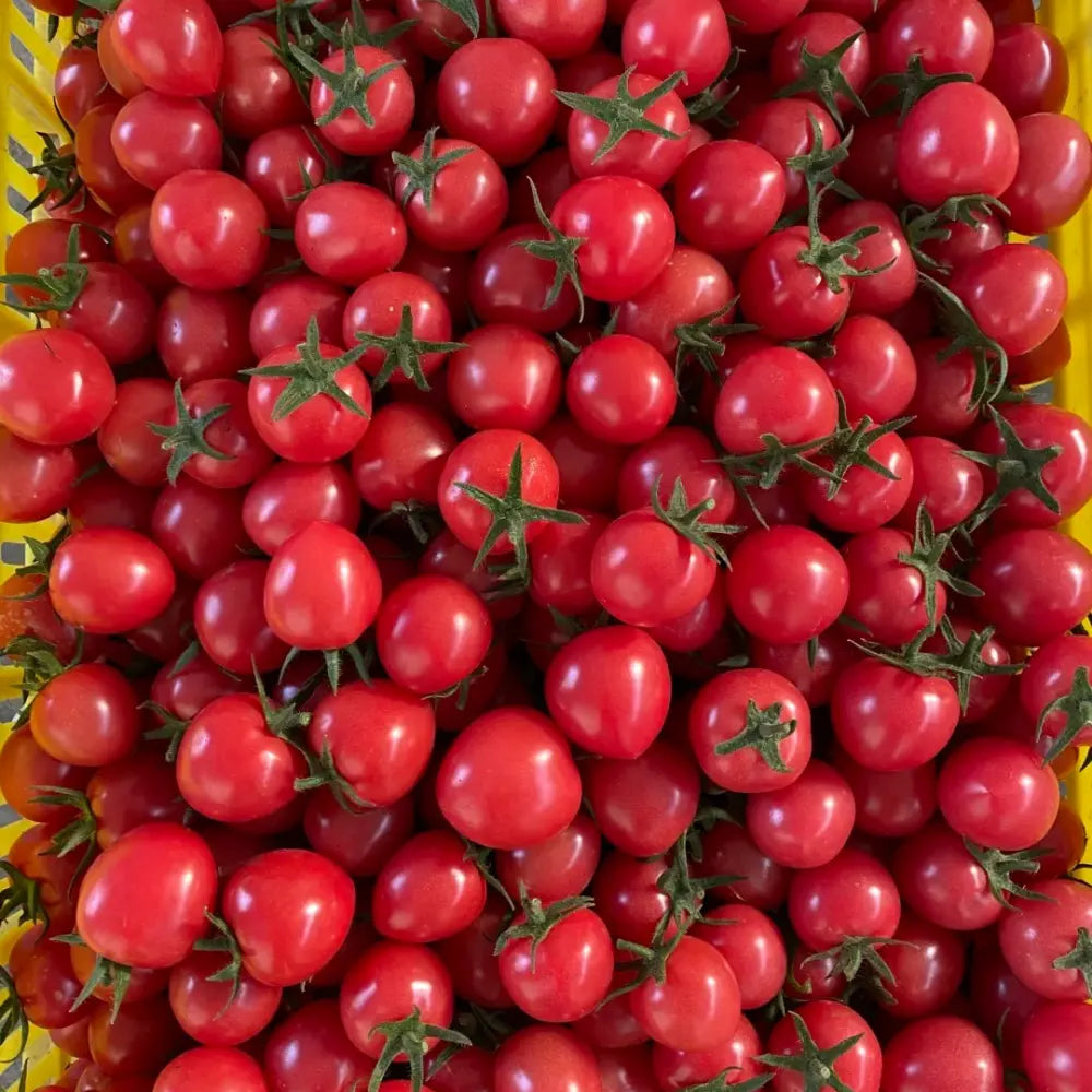 Cherry Tomato Seeds image 2