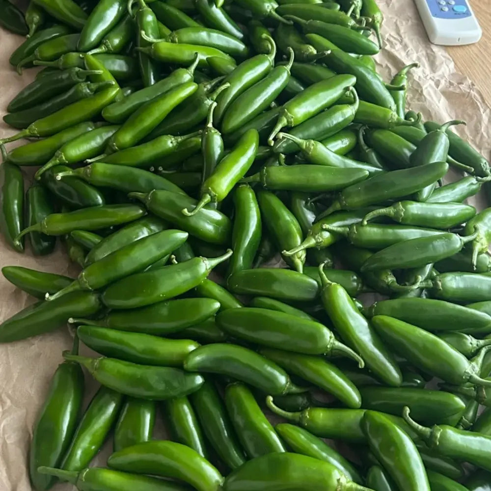 Jalapeño Pepper Seeds image 2