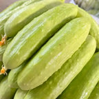 Cucumber Seeds product image