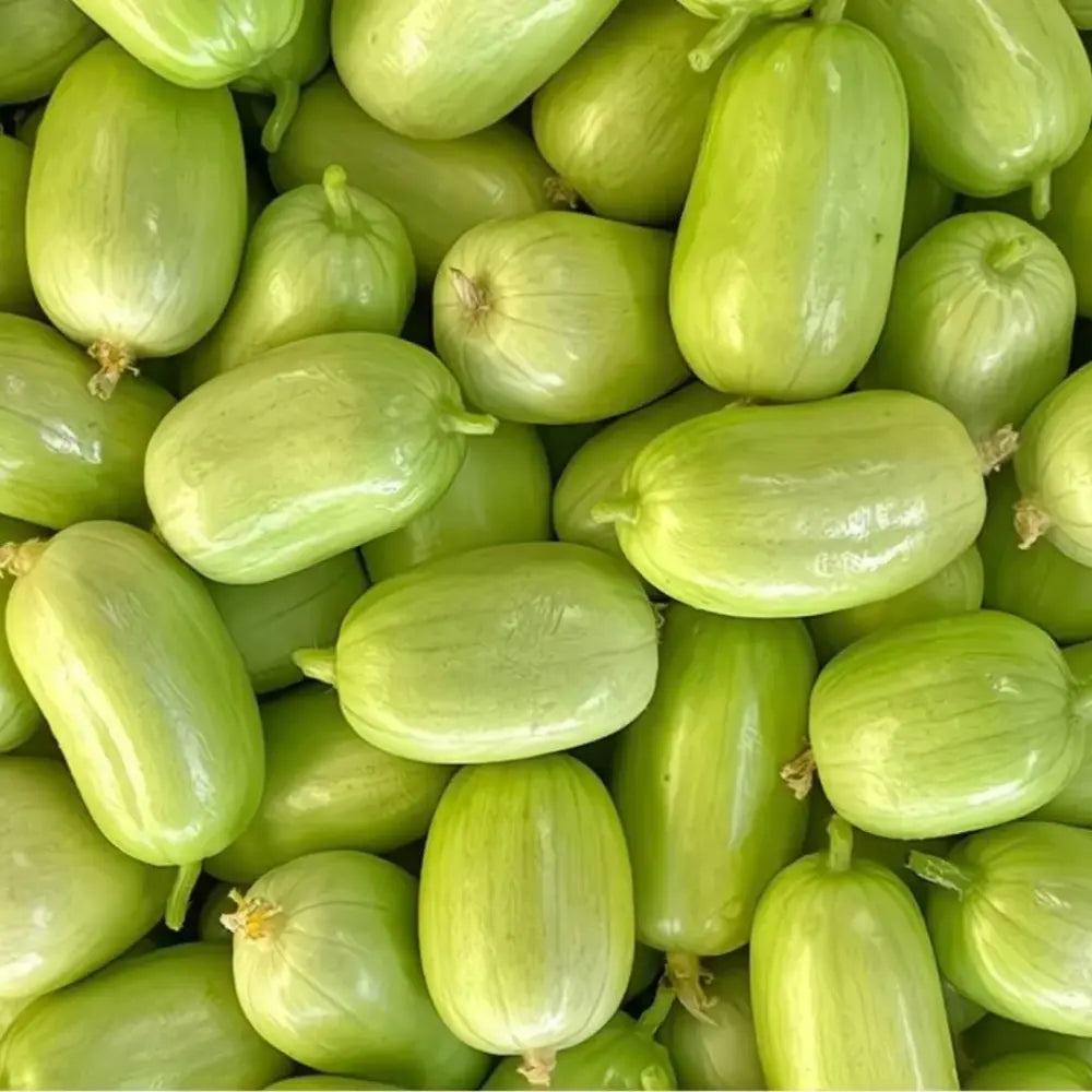 Cucumber Seeds image 2